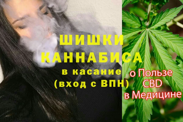стафф Заволжск