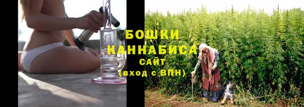 стафф Заволжск
