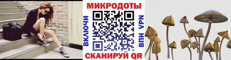 Галлюциногенные грибы Magic Shrooms Усолье